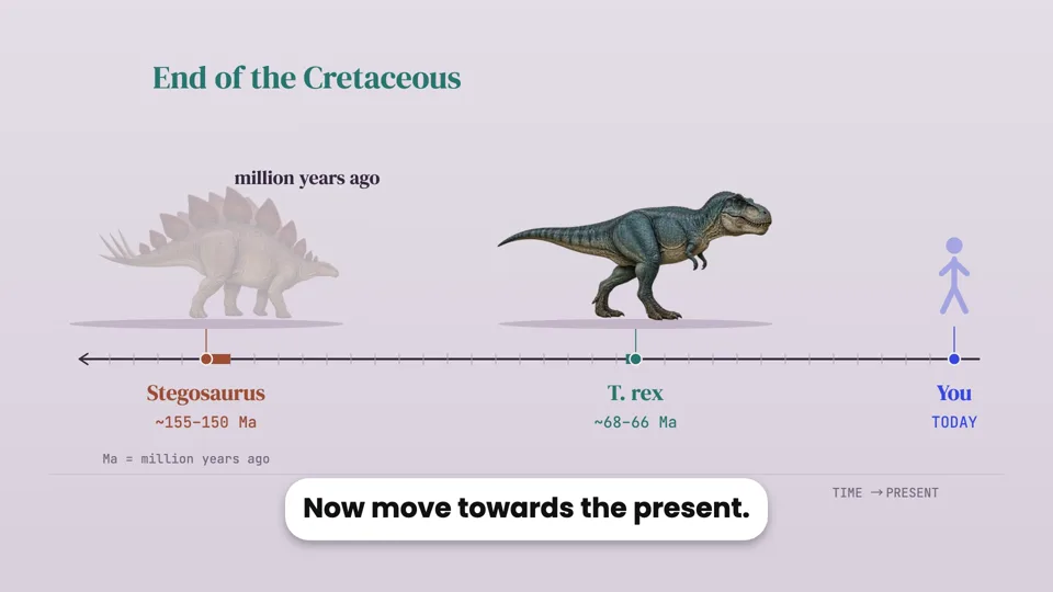 T. rex is closer to you than to Stegosaurus