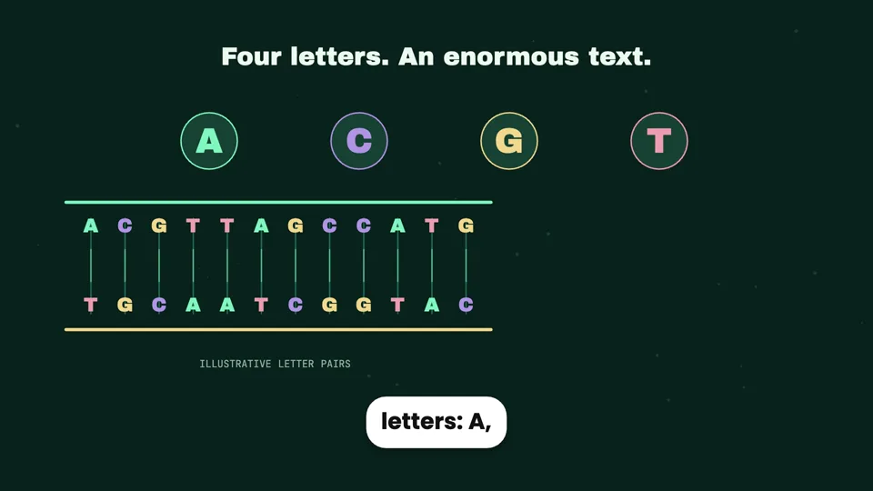 How Two Metres of DNA Fit Inside a Cell