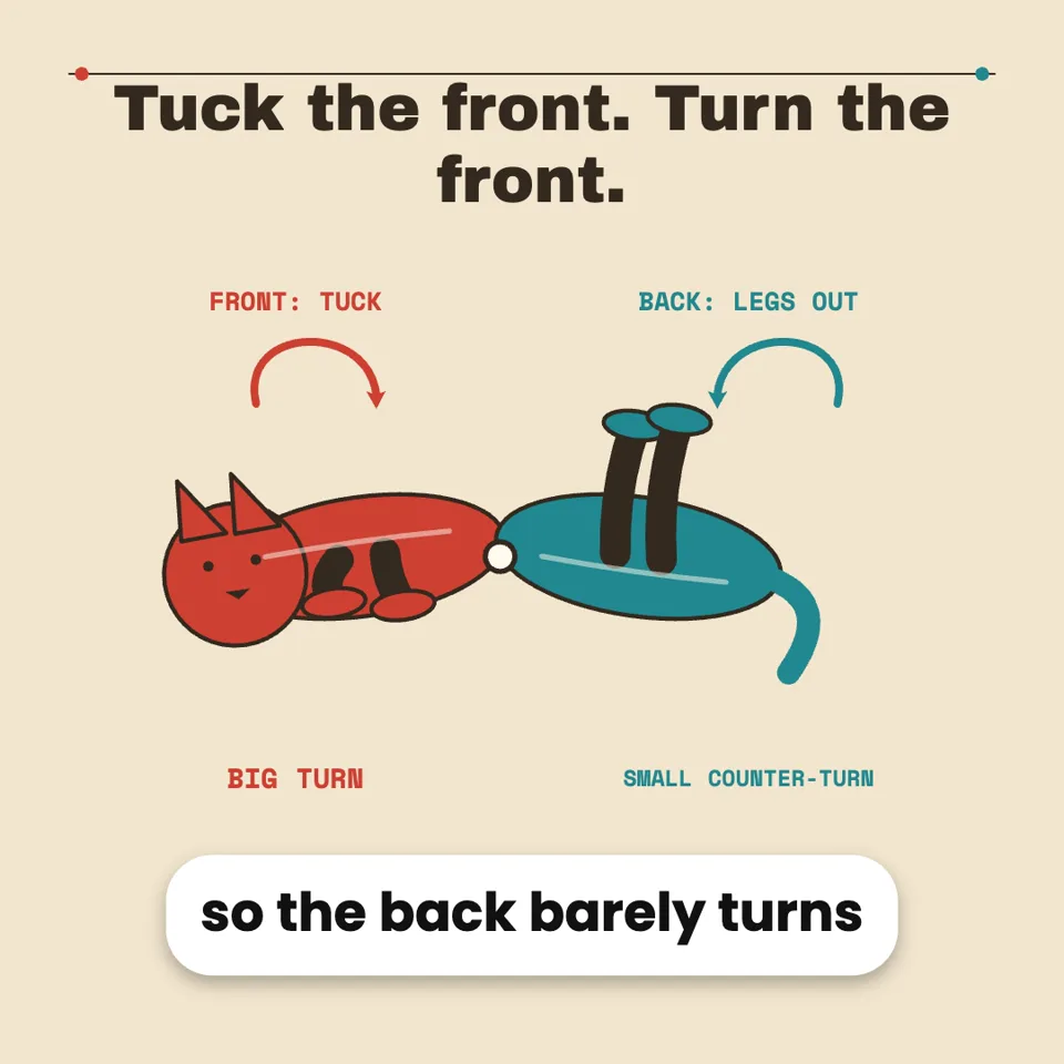 How a Falling Cat Turns Over