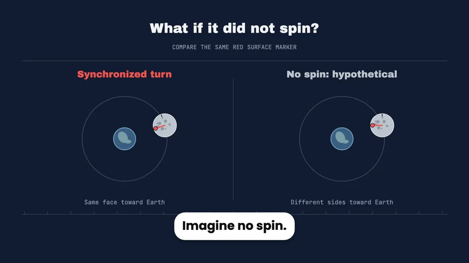 Why We Always See the Same Face of the Moon