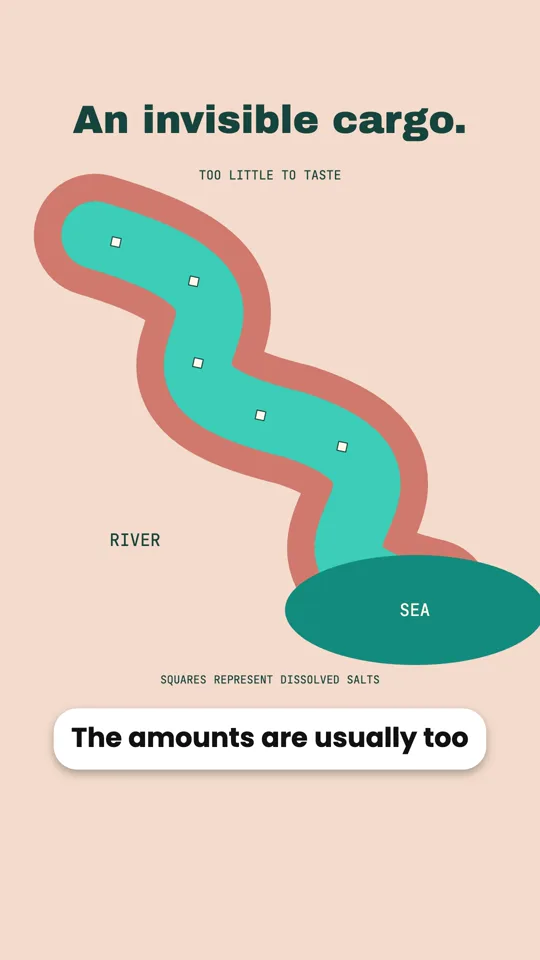 Why the Sea Is Salty but Rivers Are Not
