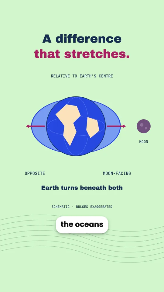 Why Earth Has Two High Tides