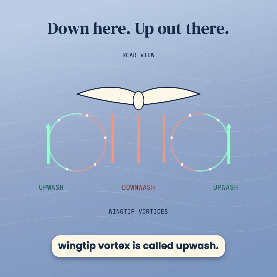Why Geese Fly in a V